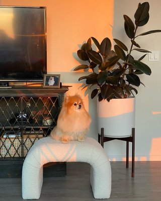 Martini Small Upholstered Ottoman by Leanne Ford - image 12 of 14