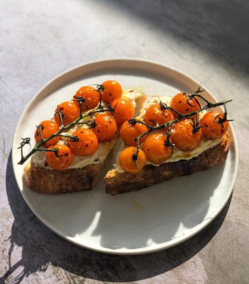 Wren Matte White Dinner Plates, Set of 8 - image 14 of 16