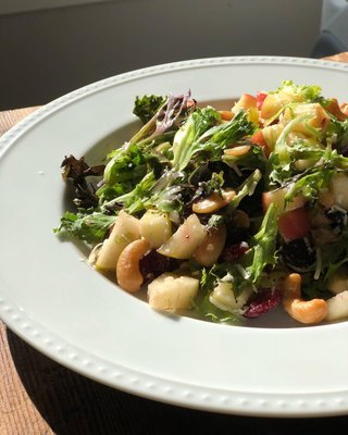 Staccato White Porcelain Dinner Plate - image 15 of 16