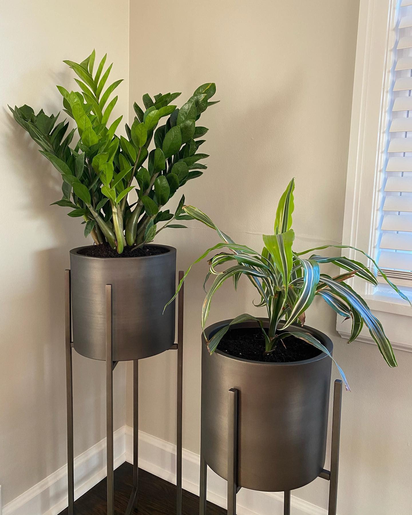 Large planter orders with stand -wood plant stand-Large Ceramic Cylinder Pot 13''-Plant Stand With Pot-Natural Beech