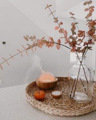 Large Faux Willow Eucalyptus Stem - image 7 of 8