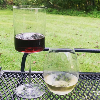 Edge All-Purpose Wine Glass + Reviews, Crate & Barrel