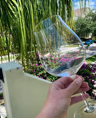 Vineyard 12-Oz. White Wine Glass - image 10 of 11
