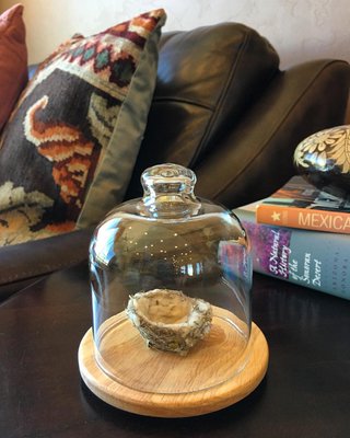 Glass Candle Cloche - image 4 of 5