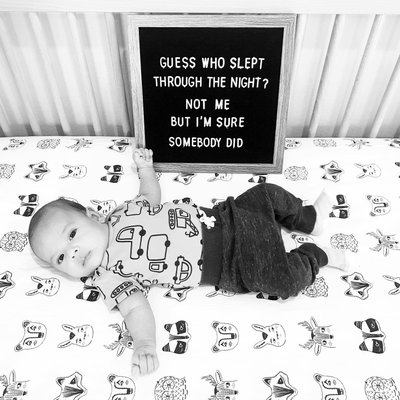 Stay Cool Roxy Marj Woodland Animal 100% Organic Cotton Baby Crib Fitted Sheet - image 14 of 16