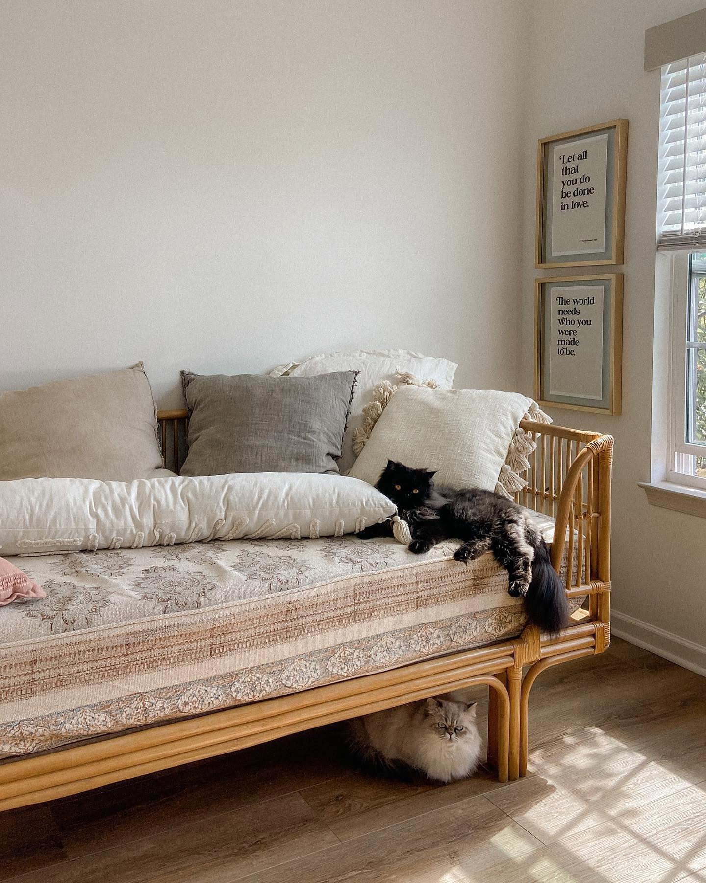 World market daybed hotsell