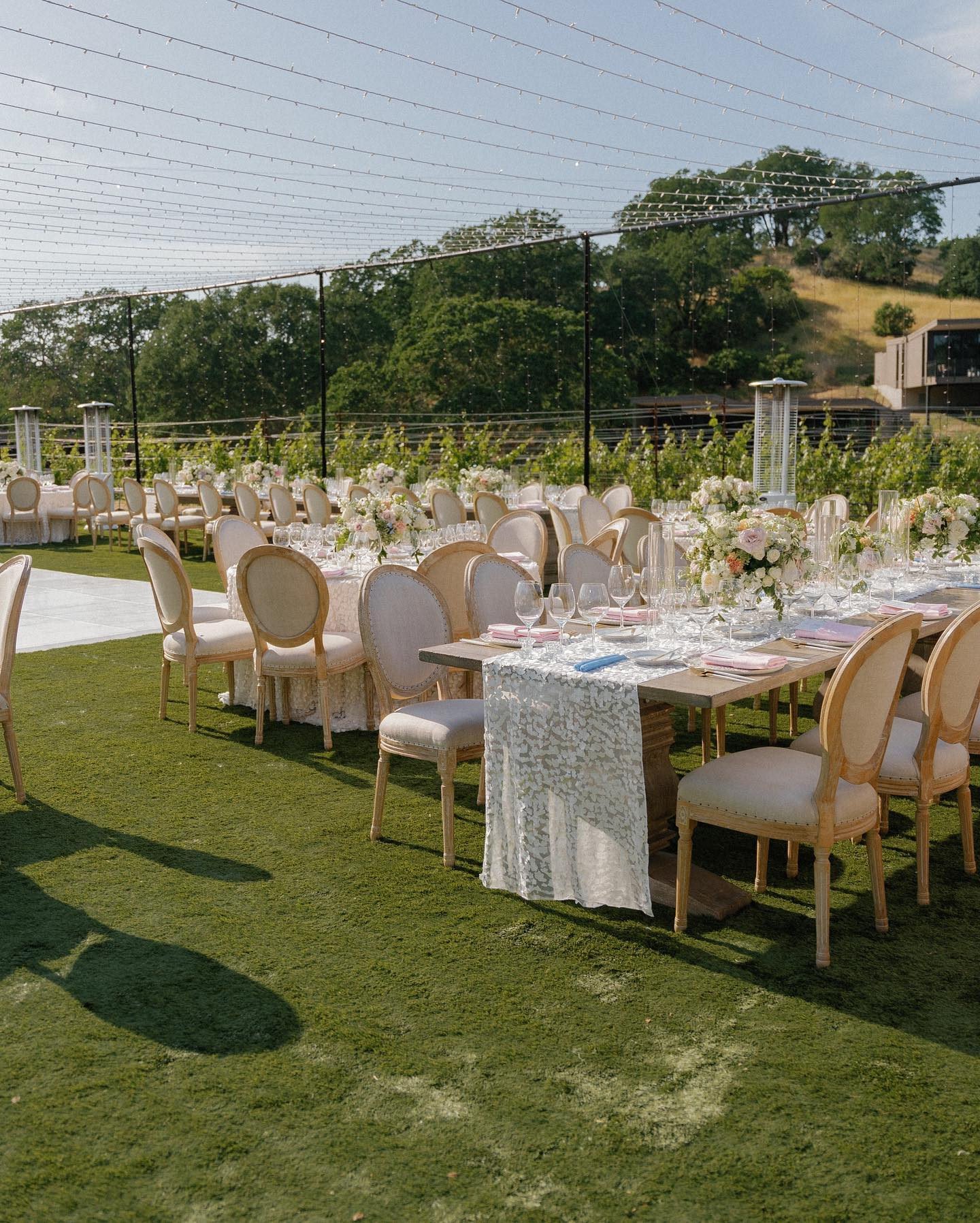 ビノールト HERILL White Linen boarder 3 ビノールト HERILL White Linen boarder 3 350TC Laurel