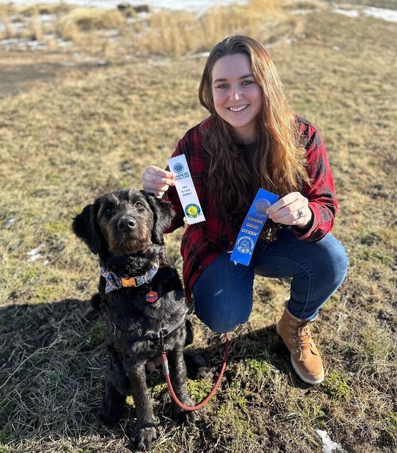 Highest-Rated Dog Collars in 2023 - Reviews by Kansas City Star