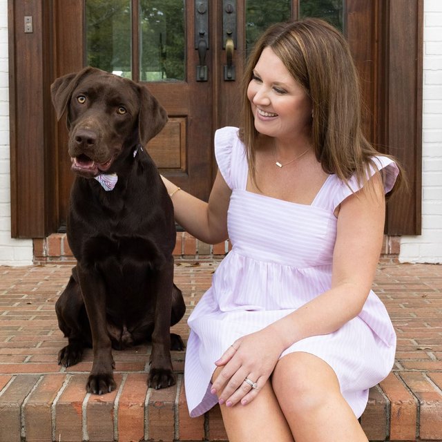 Creme Fraiche Dog Dress: The Classy Dog - Designer Dog Clothes