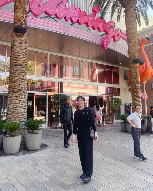 Honestly, I don’t even know if the Flamingo is a famed Vegas landmark, but here we are. Hello from Vegas and the people behind me! (Also, my New Yorker self is obviously not appropriately dressed for this 80F weather). 🦩🎰🥵