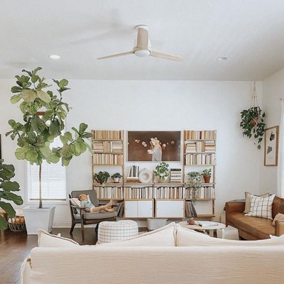 Norden with Light 54 inch Ceiling Fan