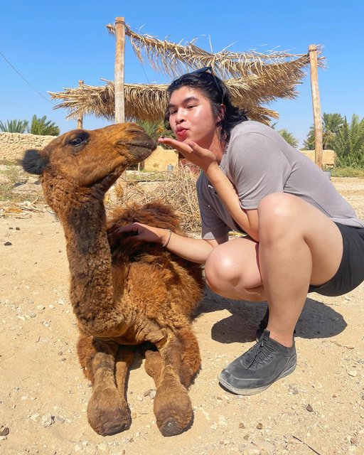 In a complicated relationship with my new Syrian Bedouin baby: Camela Kabayo. 🐪🇸🇾

#syria #palmyra #bedouin #camel #desert