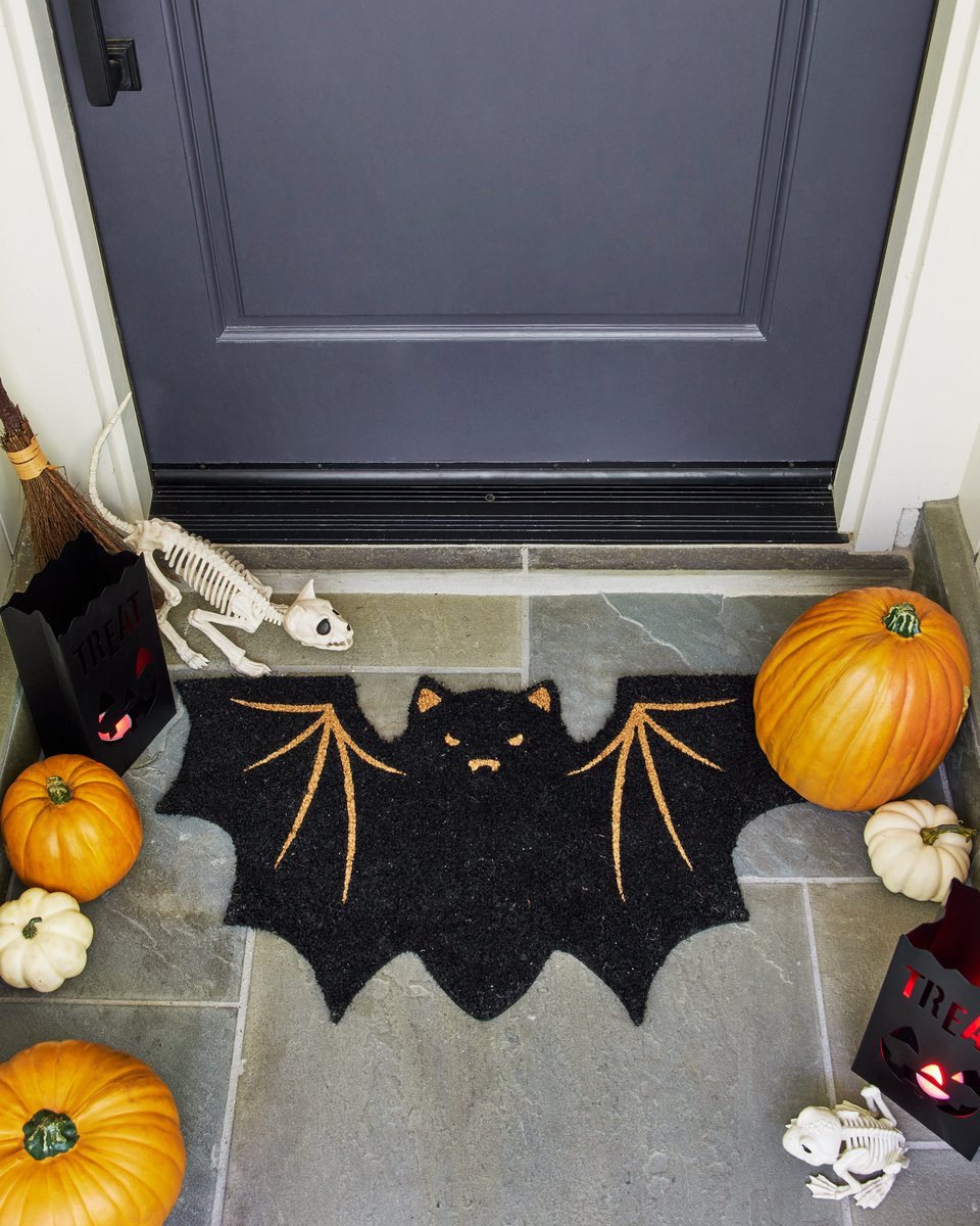 Black and Natural Coir Bat Shaped Doormat - World Market
