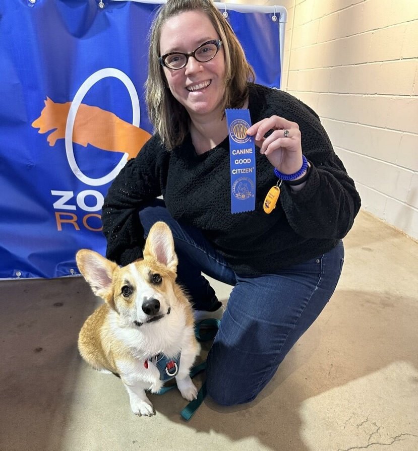 Canine Good Citizen (CGC) – American Kennel Club