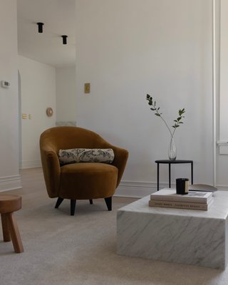 Sensorio Swoop Arm Velvet Accent Chair by Athena Calderone - image 13 of 15