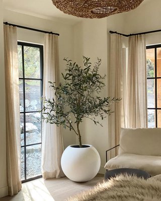 Faux Olive Tree in Pot 7' - image 16 of 18