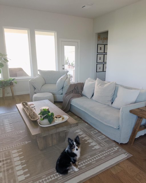 Shylah Handwoven Area Rug