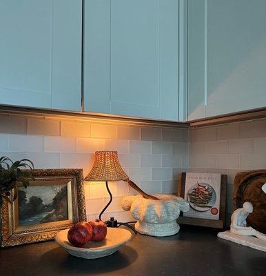 Bibelot Wavy Black Metal Mini Table Lamp with Rattan Shade by Athena Calderone 15.6" - image 12 of 16