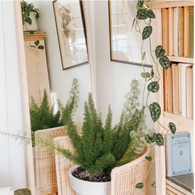 Hinoki Wood Floor Mirror | Minimalist Wood Standing Mirror   – The Citizenry