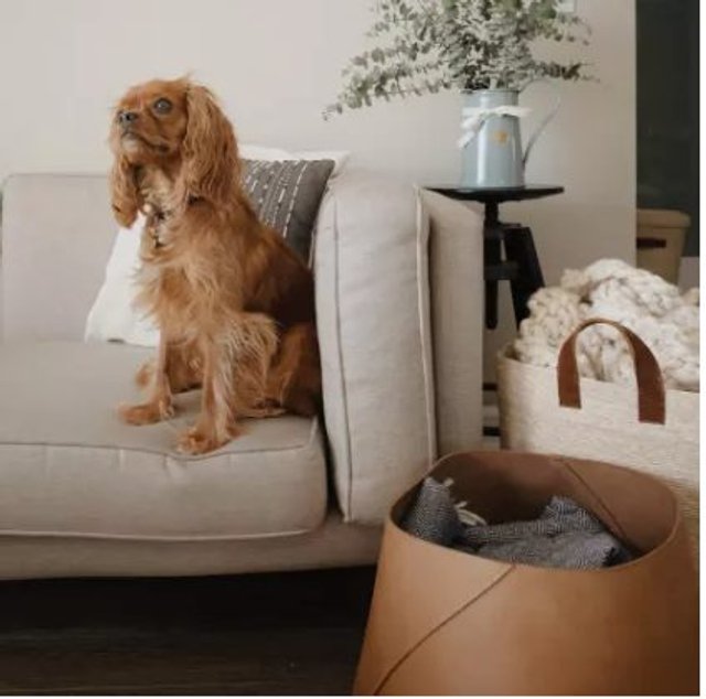Woven Storage Baskets | Handcrafted with Palm Leaves   – The Citizenry
