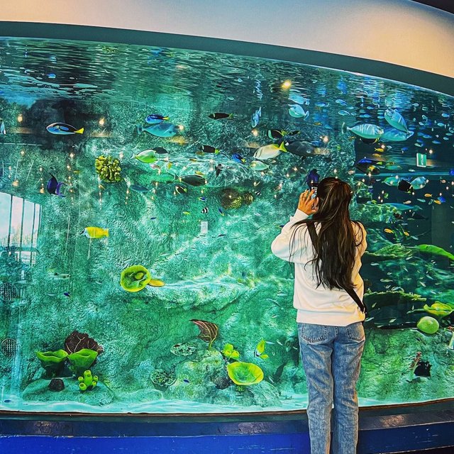 SEA LIFE Melbourne Aquarium - Official Website SEA LIFE Melbourne Aquarium - Official Website
