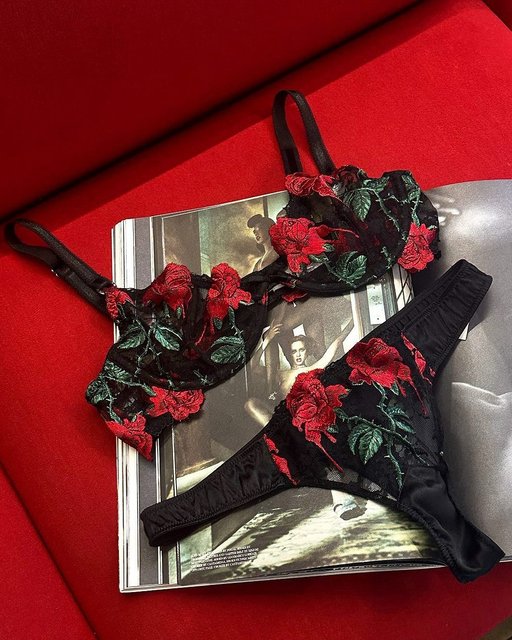 You're not seeing things: it's our Vampire Rose Embroidery set, with vintage-inspired dripping rose embroidery all over, baby 🌹