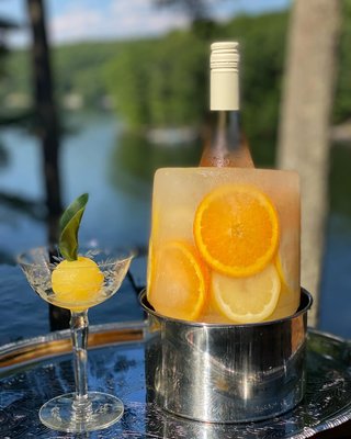 Ice Mold/Wine Bottle Chiller - image 8 of 12