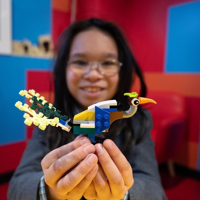 From brains to LEGO bricks - create and build wherever your imagination takes you✨