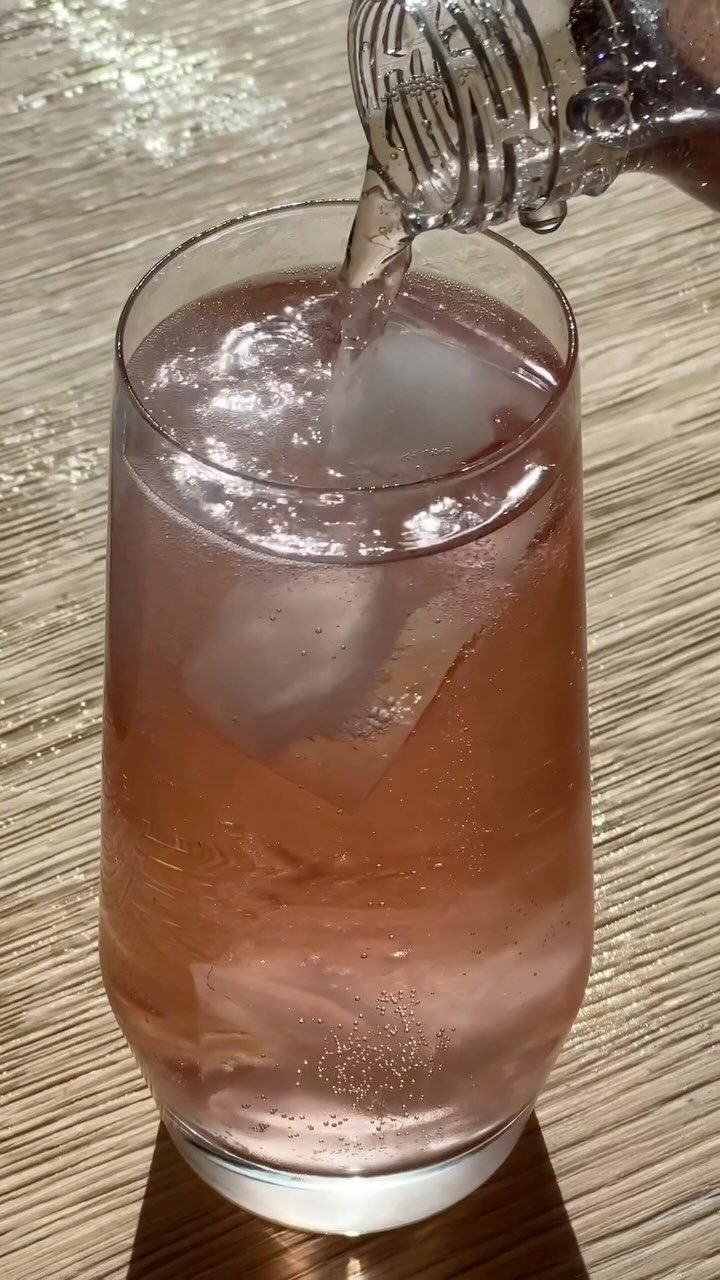 Breville InFizz Fusion Sparkling Beverage Maker with CO2 Canister