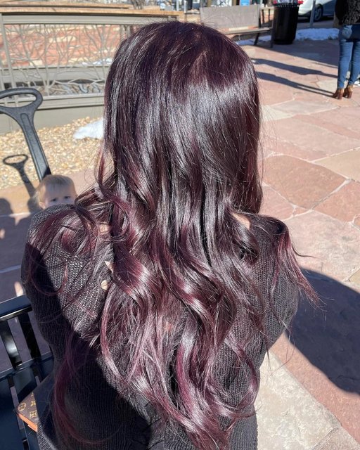Plum Black Hair Color Dark Plum Black Hair Dye Kit | Palermo Black