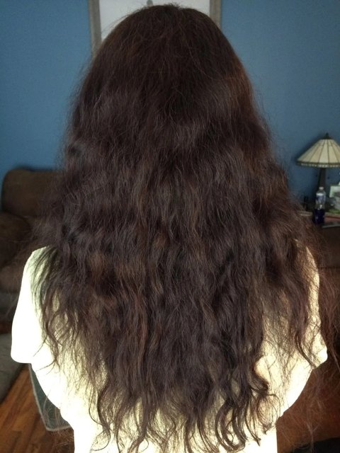 Dark Mahogany Brown Hair Dye Kit. 5NGM Catania | Madison Reed