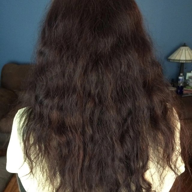 Dark Mahogany Brown Hair Dye Kit. 5NGM Catania | Madison Reed