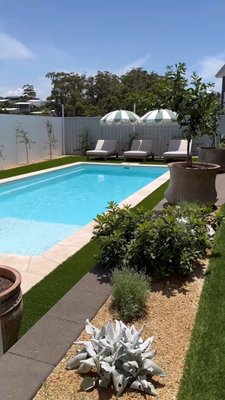 Buy Cannes Sun Lounger Online in NZ | Freedom