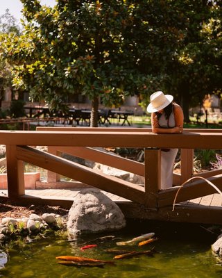 Have you ever come to feed our koi fish? 🐟

Enjoy the serenity of our newly renovated Secret Garden when you stay with us at the #LinkInBio. 

#PasoRoblesInn #VisitPasoRobles #TravelPaso #SLOCAL