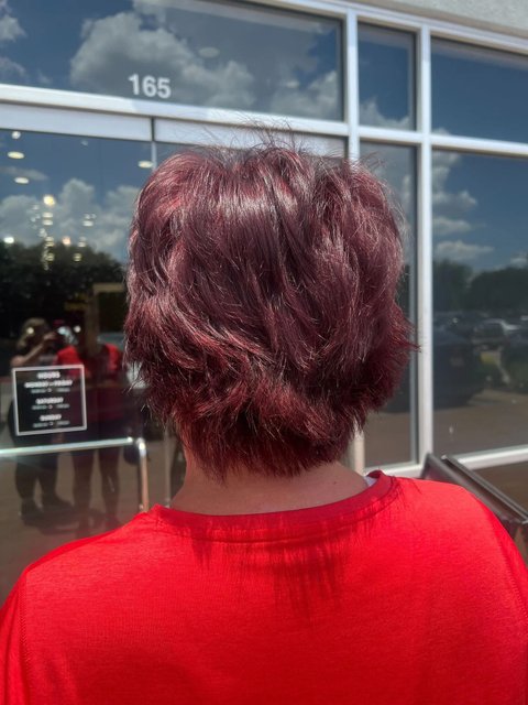 Burgundy Demi-Permanent Hair Dye Kit | The Bordeaux Flow 5RV | Madison Reed