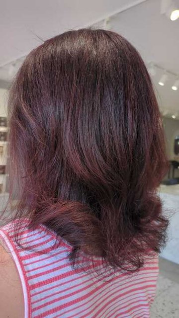 Cherrybomb Hair Dye - 6R | Demi Hair Color | Madison Reed