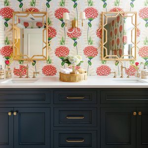 thibaut_1886 LikeShop