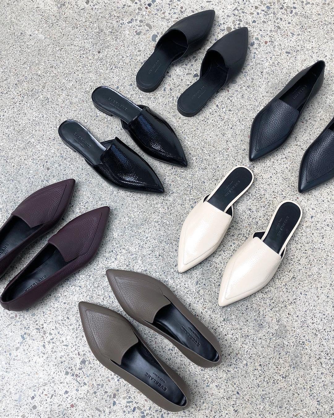 everlane boss mule